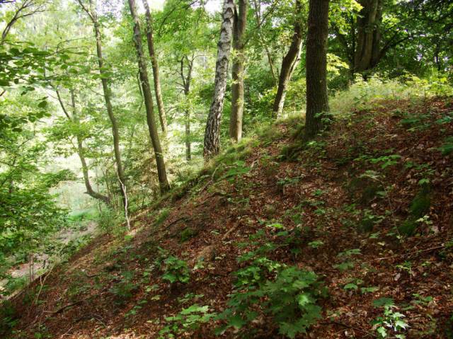 Early mediaeval settlement