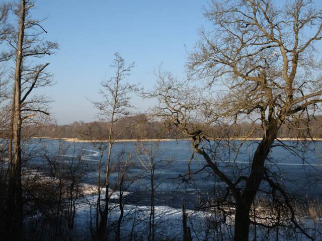 Żeńskie See