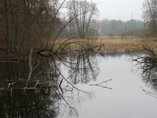 Kłodawki Valley