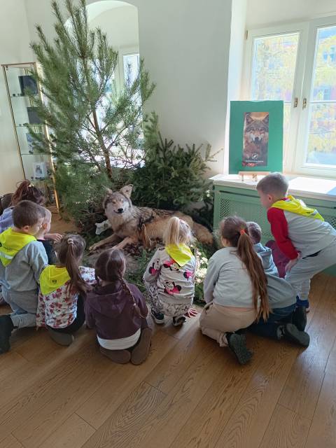Przyroda, edukacja i interaktywne doświadczenia w Centrum Polsko-Niemieckim